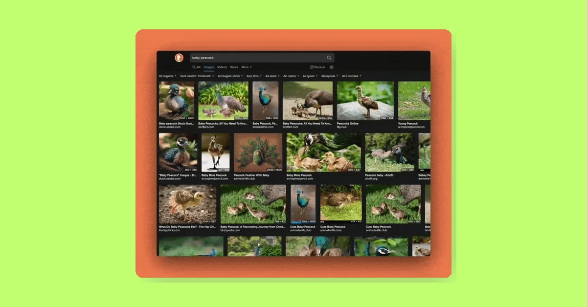 DuckDuckGo adds filter to hide AI-generated images in search results