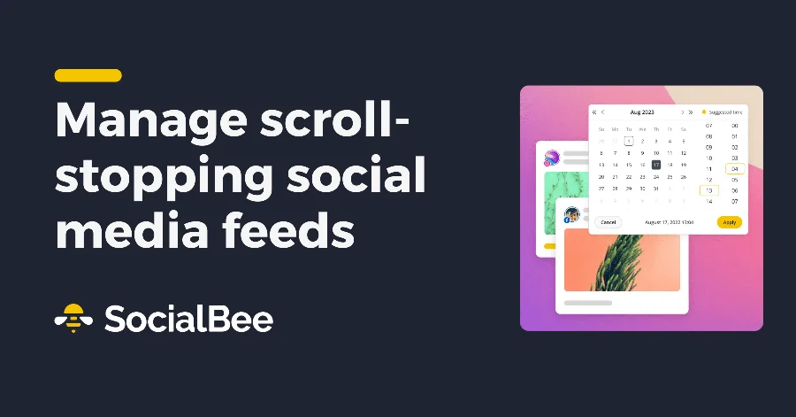 SocialBee featured image