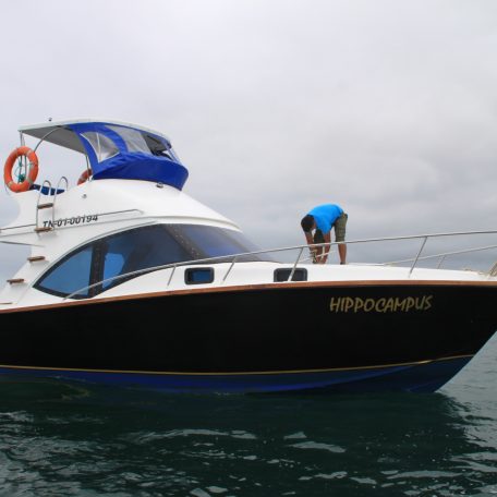 Chaski 03 25 Speedboat Generic
