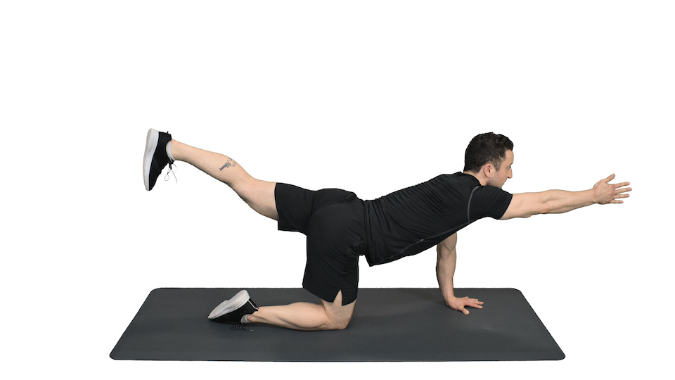 Leg Extension - Pulse Fitness