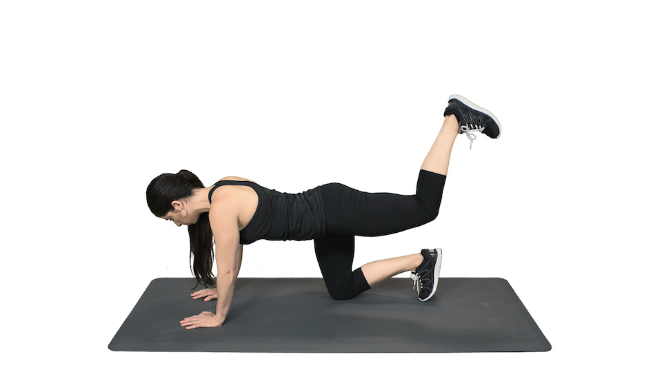 Plank Crunch And Kickback (Left) - Sworkit Health