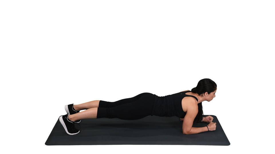 plank with hip twists