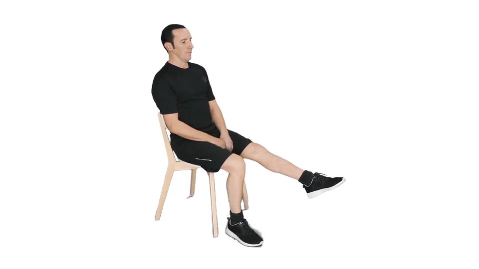 Sitting 2025 leg extension