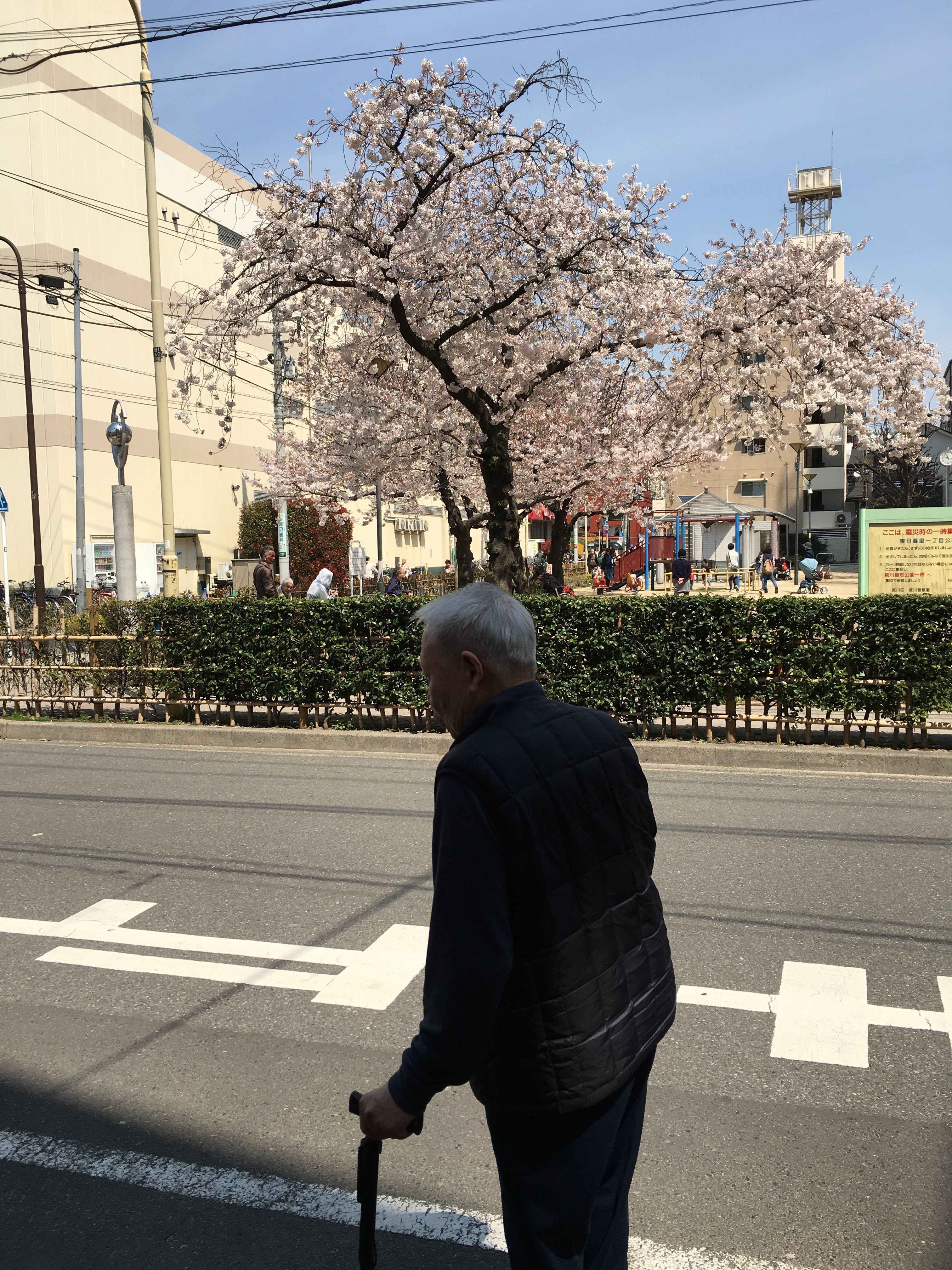 買い物リハビリ