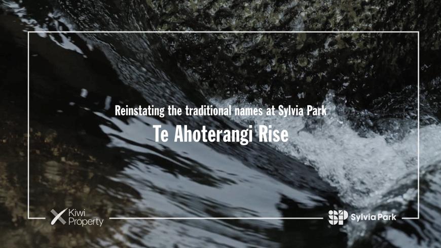 SS Te Ahoterangi Rise