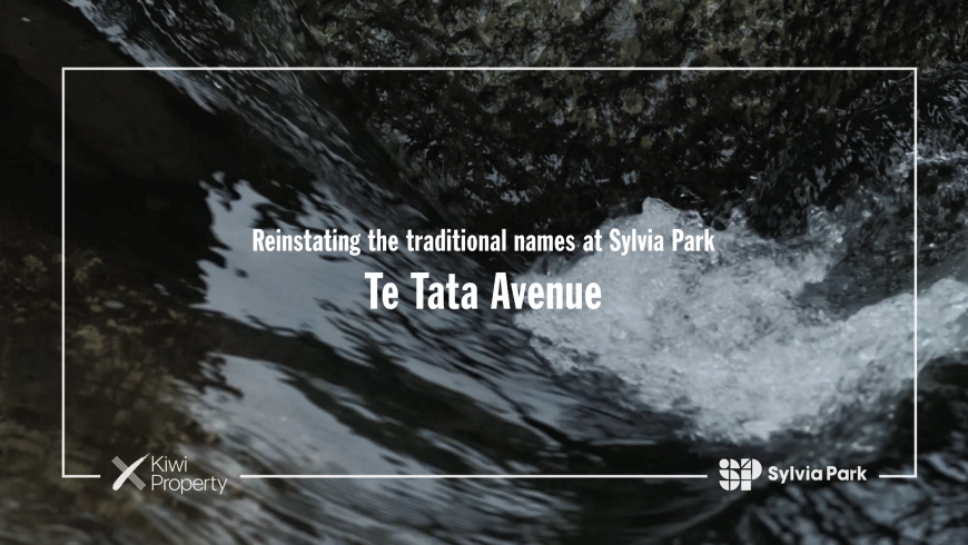 SS Te Tata Ave