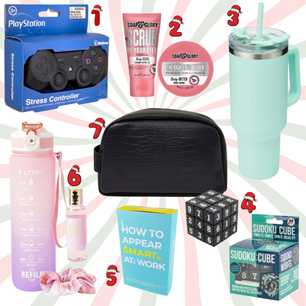 Under $50: Christmas Gifts For Coworkers, Secret Santa, Etc