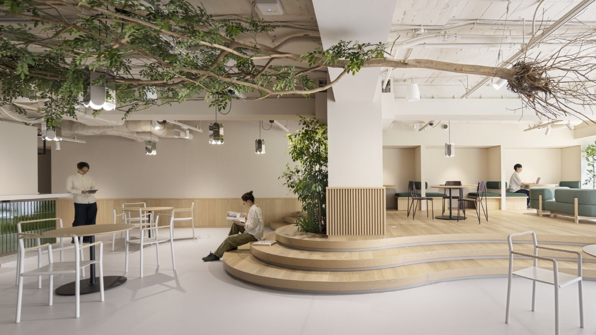 クリエイティブ職向け会社説明会のヘッダー画像