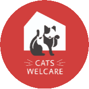 NPO法人 NPO法人CATS WELCARE