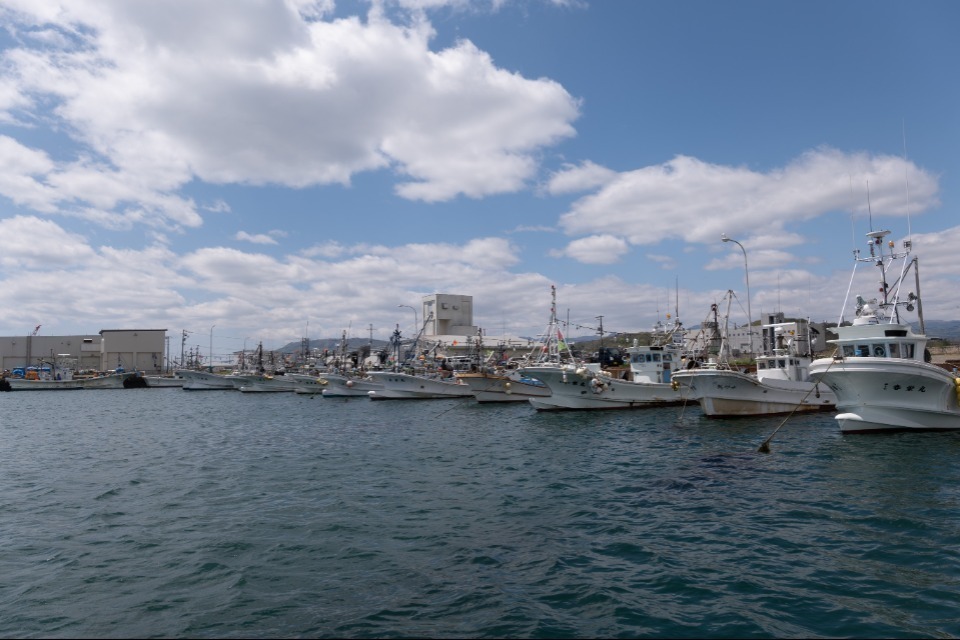 一般社団法人 SHIRAOI PROJECTS（通称：SHIPS）
