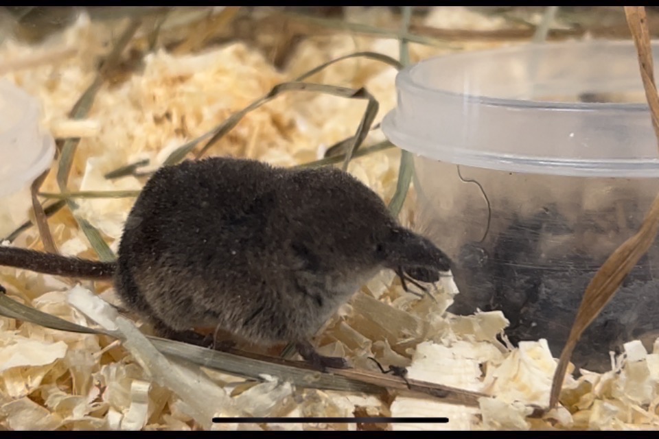 適者生存 一般社団法人 野生生物生息域外保全センター