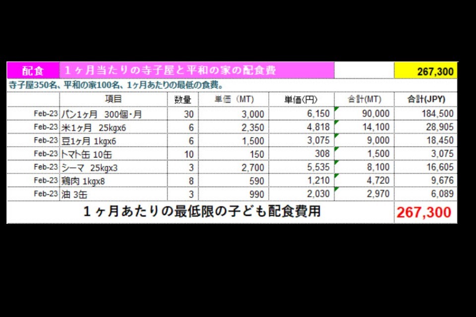 一般社団法人 モザンビークのいのちをつなぐ会