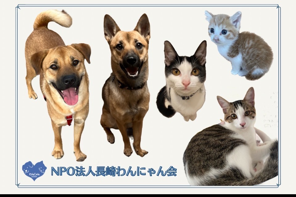 特例認定NPO法人 NPO法人長崎わんにゃん会