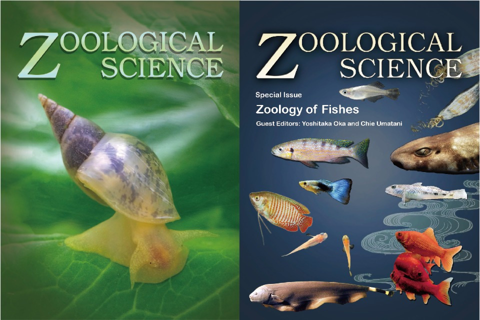 公益社団法人 日本動物学会