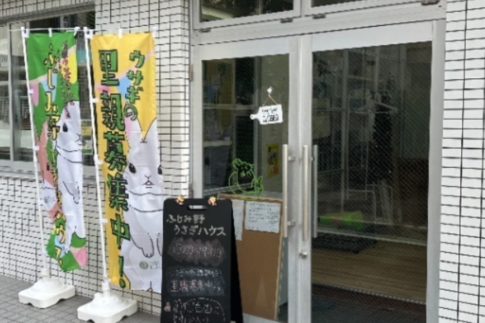 一般社団法人 うさぎとひとの幸せを支える会