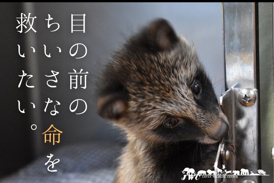 獣医・小動物「ストレス軽減！看取りとメンタルケア」DVD ストレス軽減！看取りとメンタルケア | 株式会社 医療情報研究所
