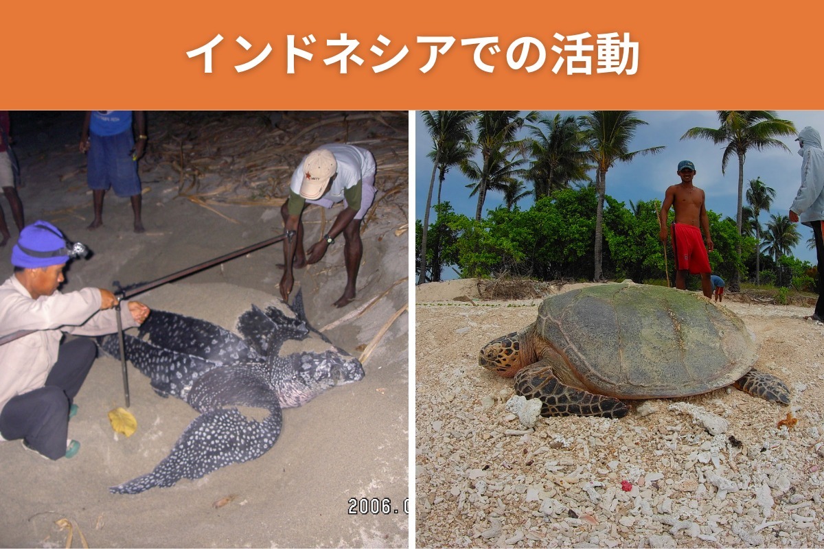 活動紹介（インドネシア）