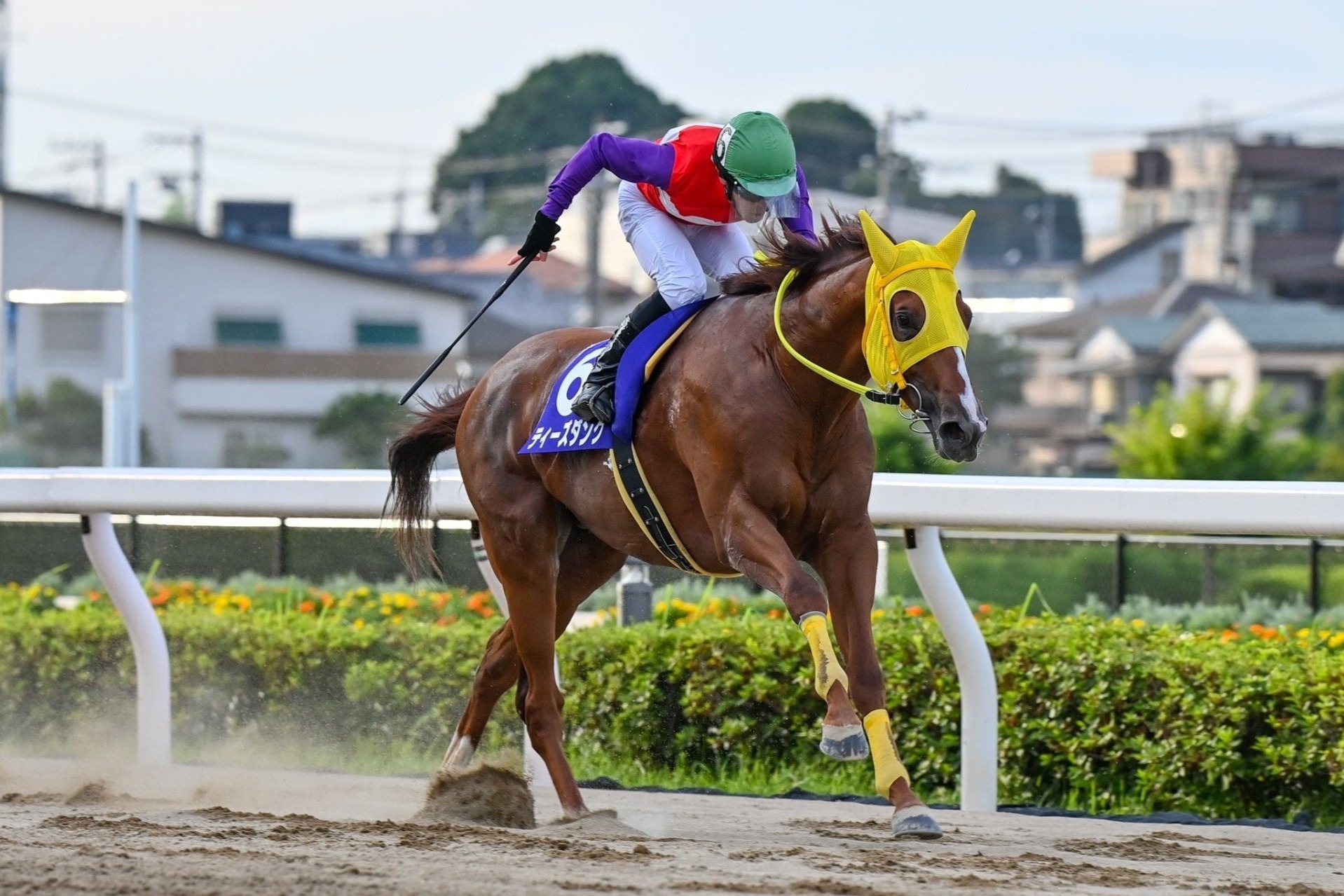 フサイチジャンク フサイチリシャール フサイチエアデール 口取写真