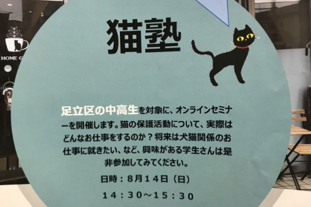 猫塾開催しました！