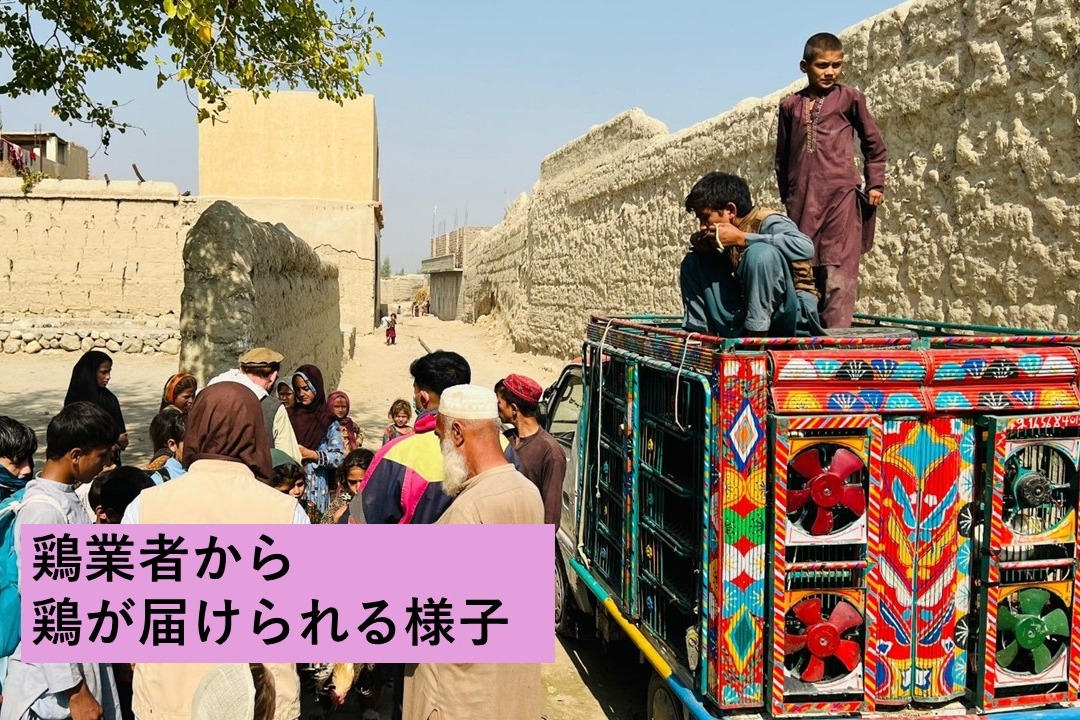 食糧危機に立ち向かう、アフガニスタンの家族の挑戦