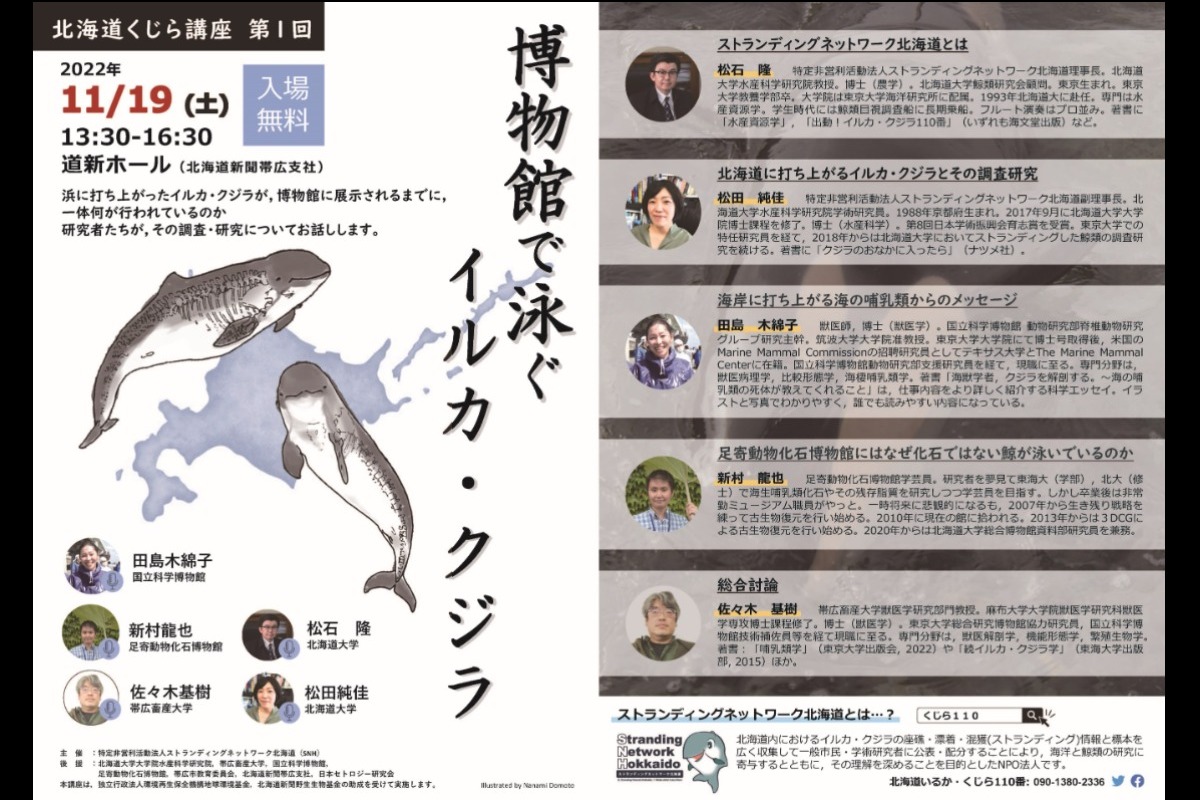 淀ちゃん」のような寄鯨（よりくじら）は北海道内だけでも年間100件