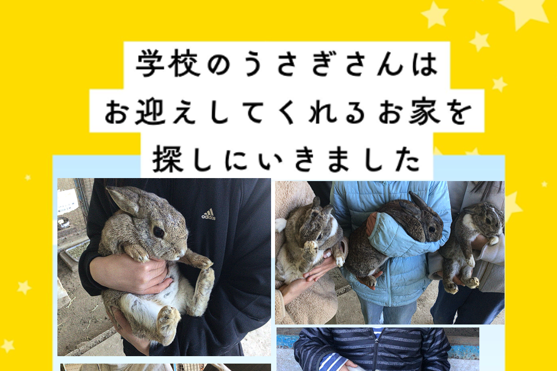 活動報告②】3/31 活動報告