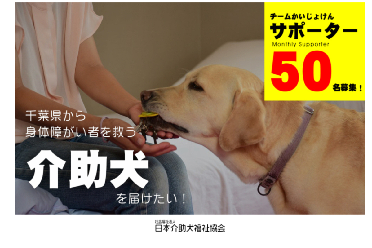 千葉県から身体障がい者を救う介助犬を届けたい マンスリーサポーター50名募集 Syncable