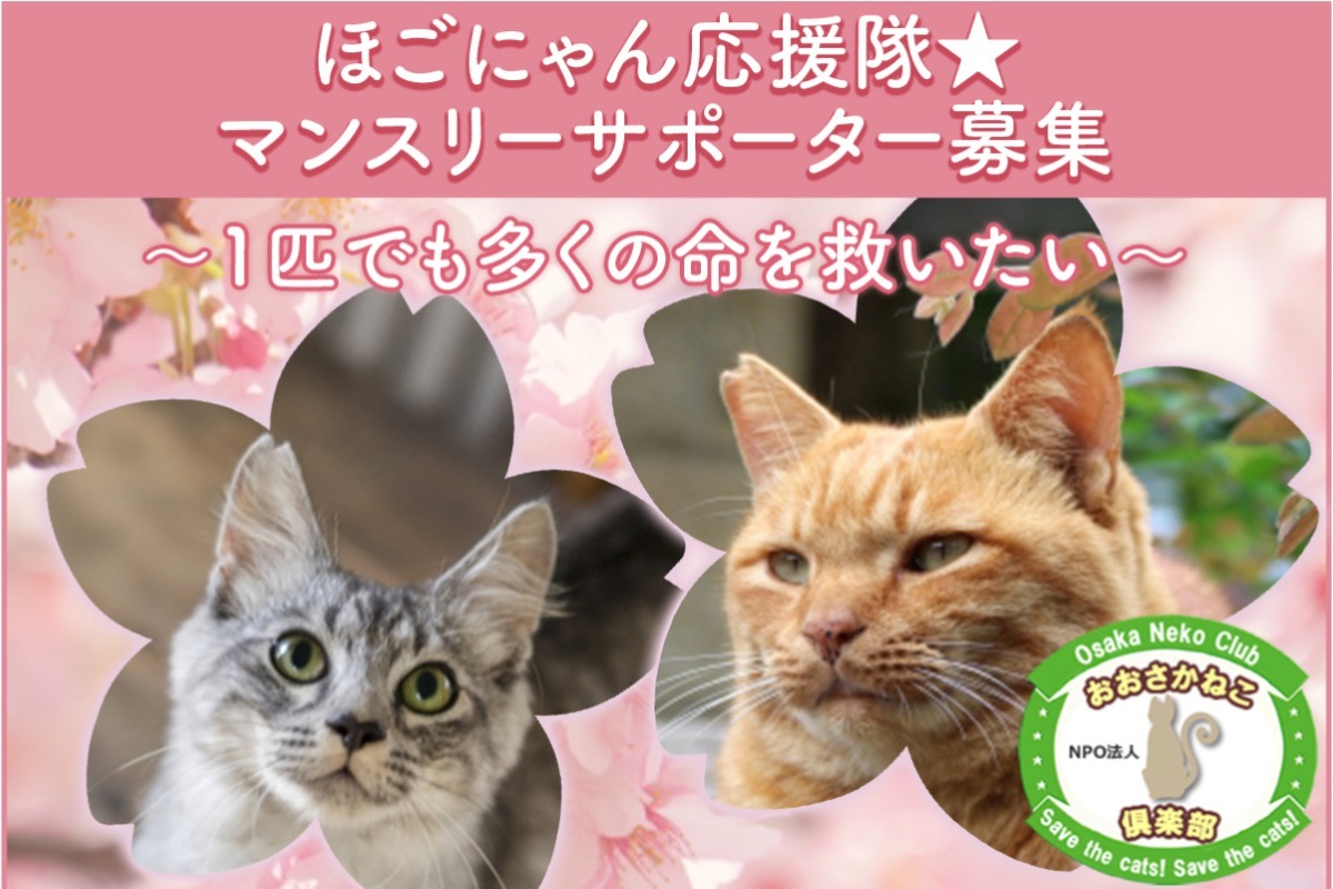 引取限定】猫のパーテーション 5連 （電池企画販売 しっぽふりふ