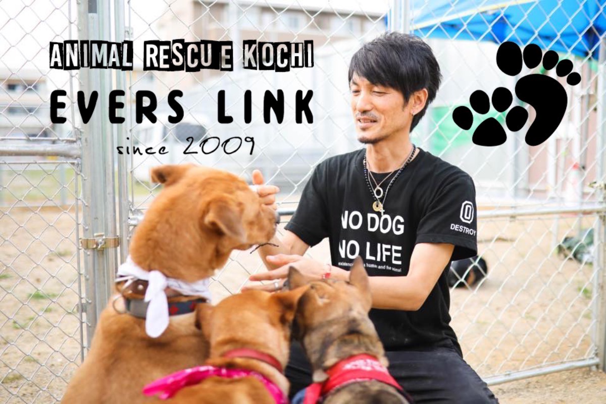 吉村義文のバースデードネーション 犬猫たちの命を繋ぐために寄付を 吉村義文のバースデードネーション 犬猫たちの命を繋ぐために寄付を
