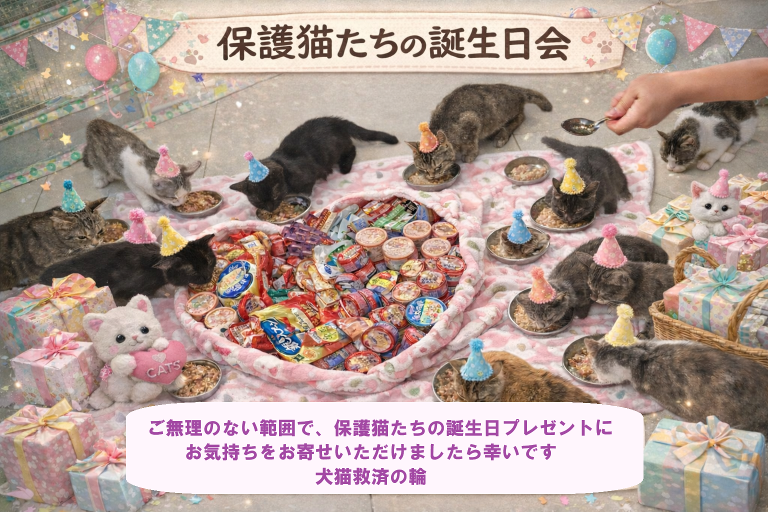 ☆オスカーくん（東日本大震災被災猫 大熊町保護） フォスター