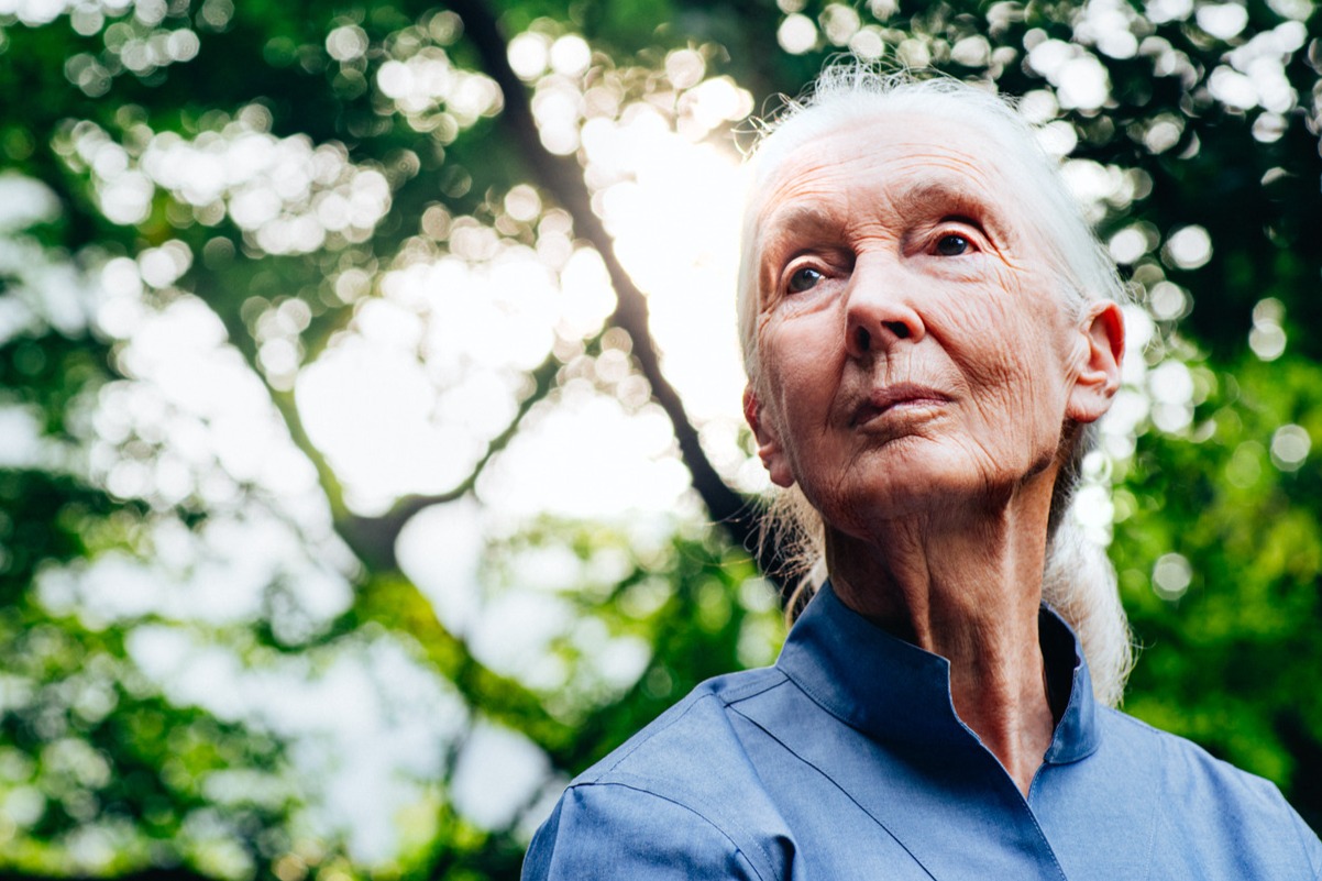 Santo Goodallさん専用 credit-to-david-s.-holloway.