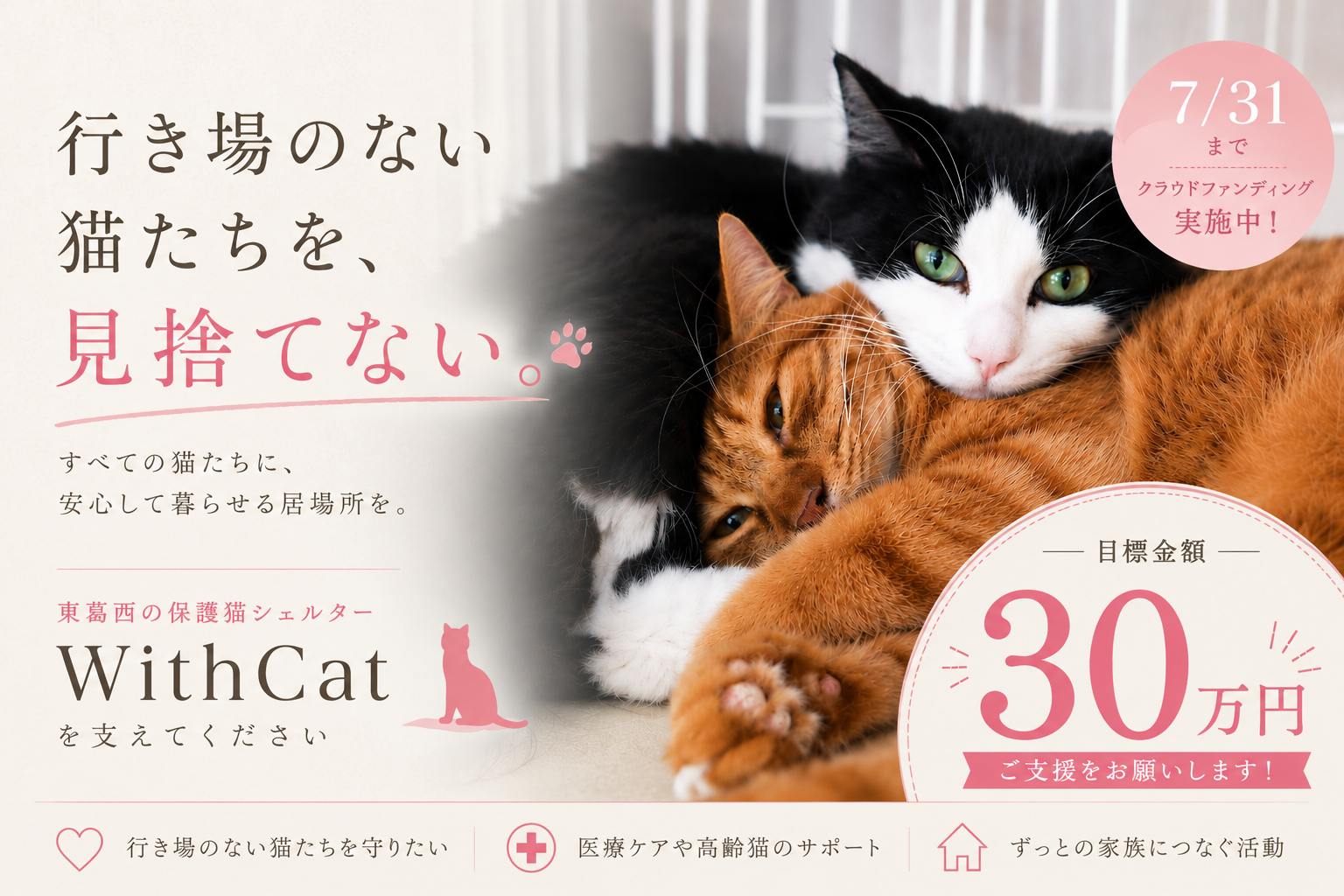 龍脈の精髄 宮崎県産天然水晶「虹を宿す天の導き」　保護猫支援 すべての猫たちに、安心して眠れる場所を。東葛西のシェルターWithCat