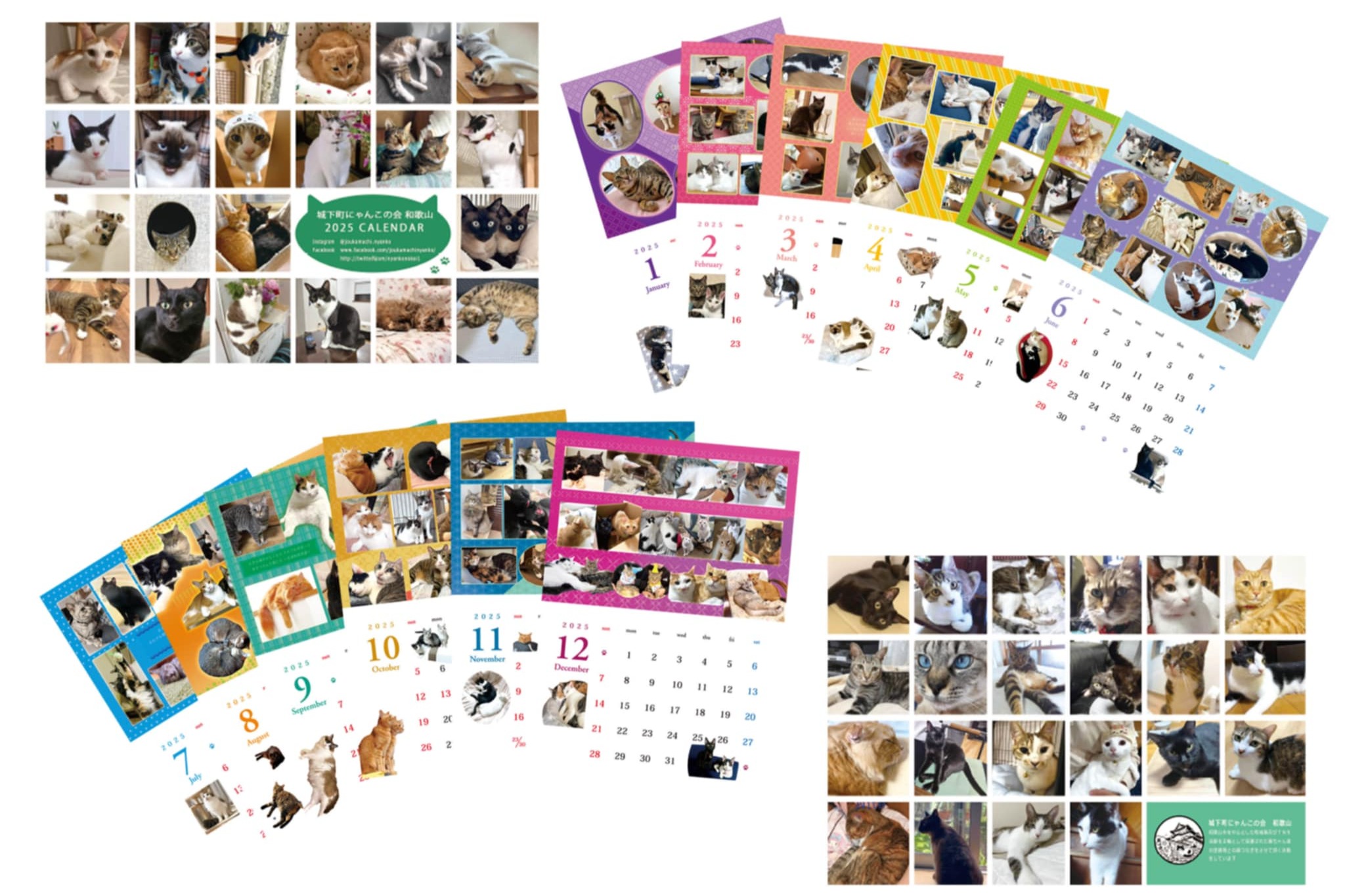 TNHomeで幸せになった元保護猫たちの 「2025年幸せにゃんこの TNHomeで幸せになった元保護猫たちの 「2025年幸せにゃんこの