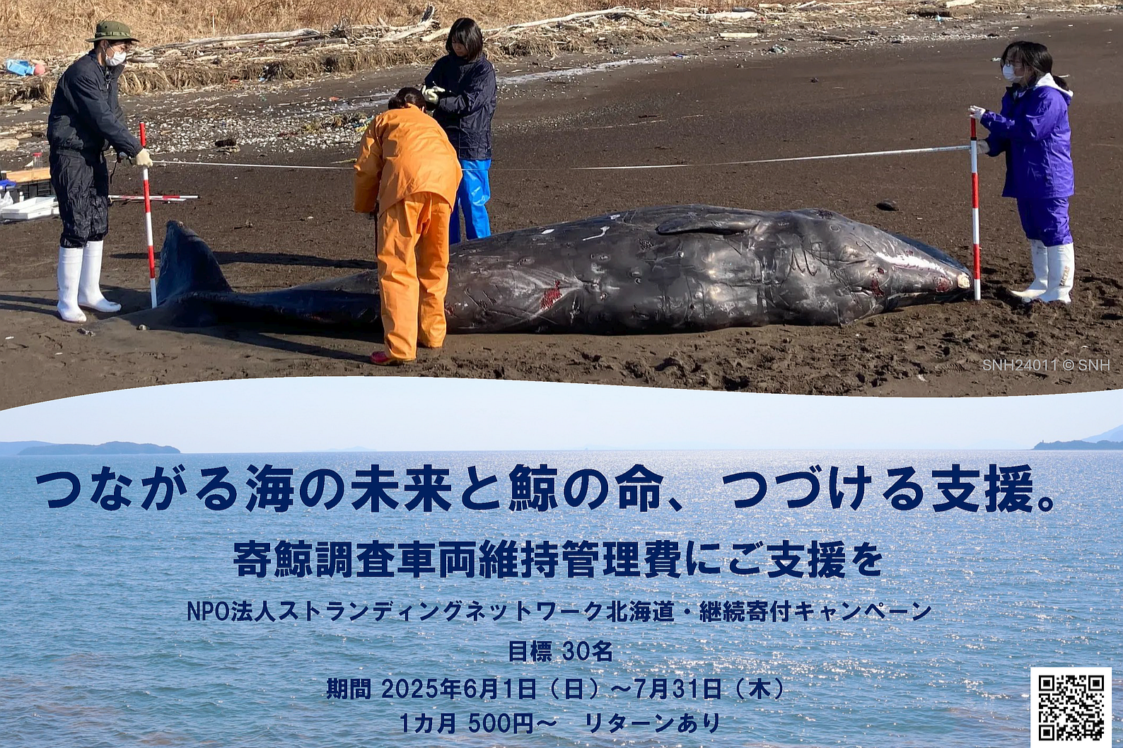 dfff28d866134bc4add552cfb1cd17