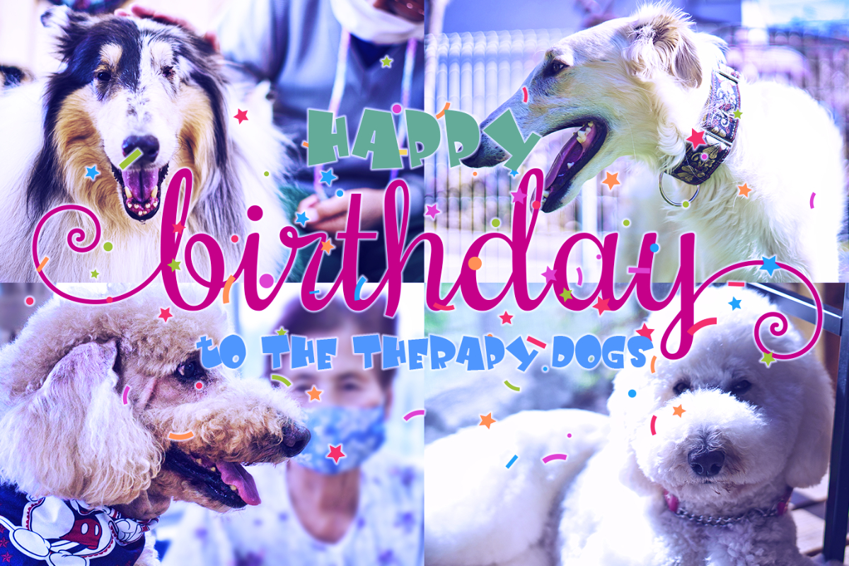 セラピー犬たちにバースデードネーション Syncable