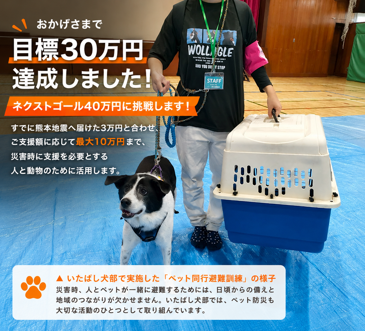 ペット防災に力をいれています。ペット同行避難訓練の様子。