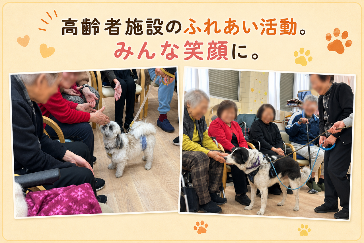 ふれあい活動