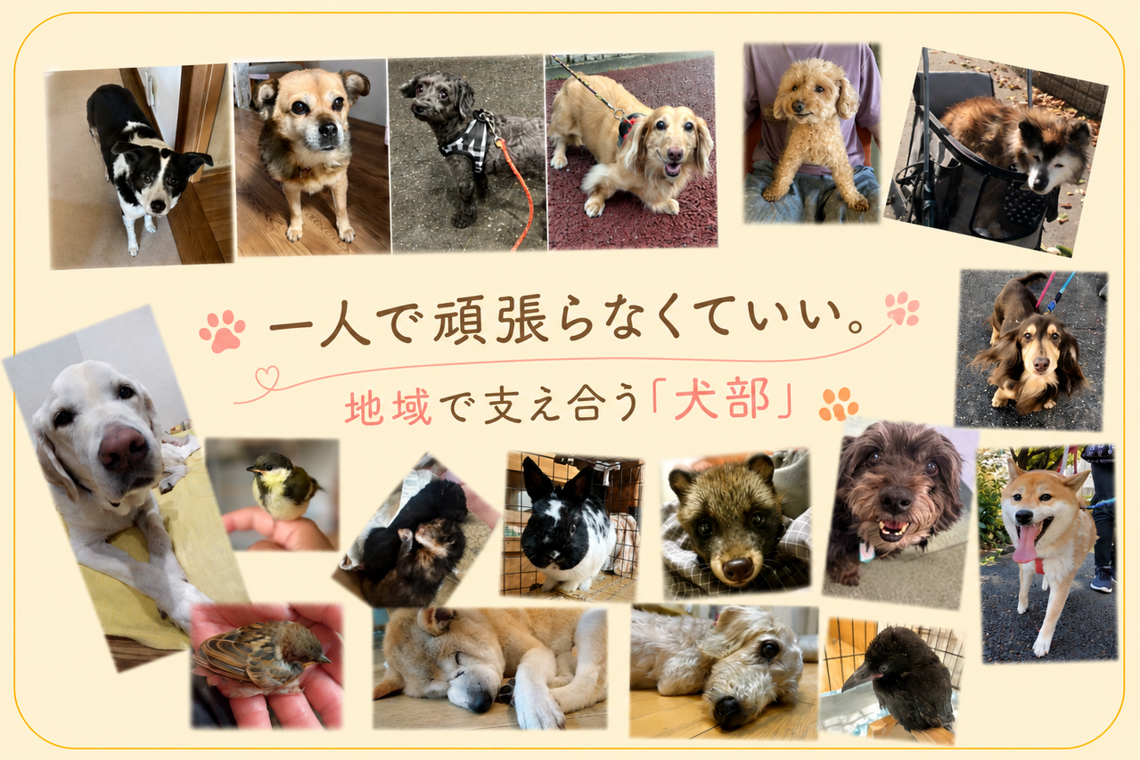 命をつなぐ