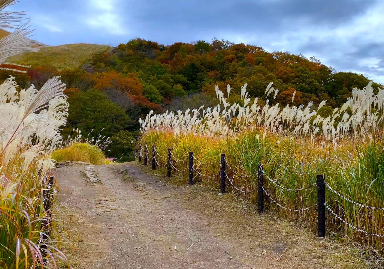 曽爾高原