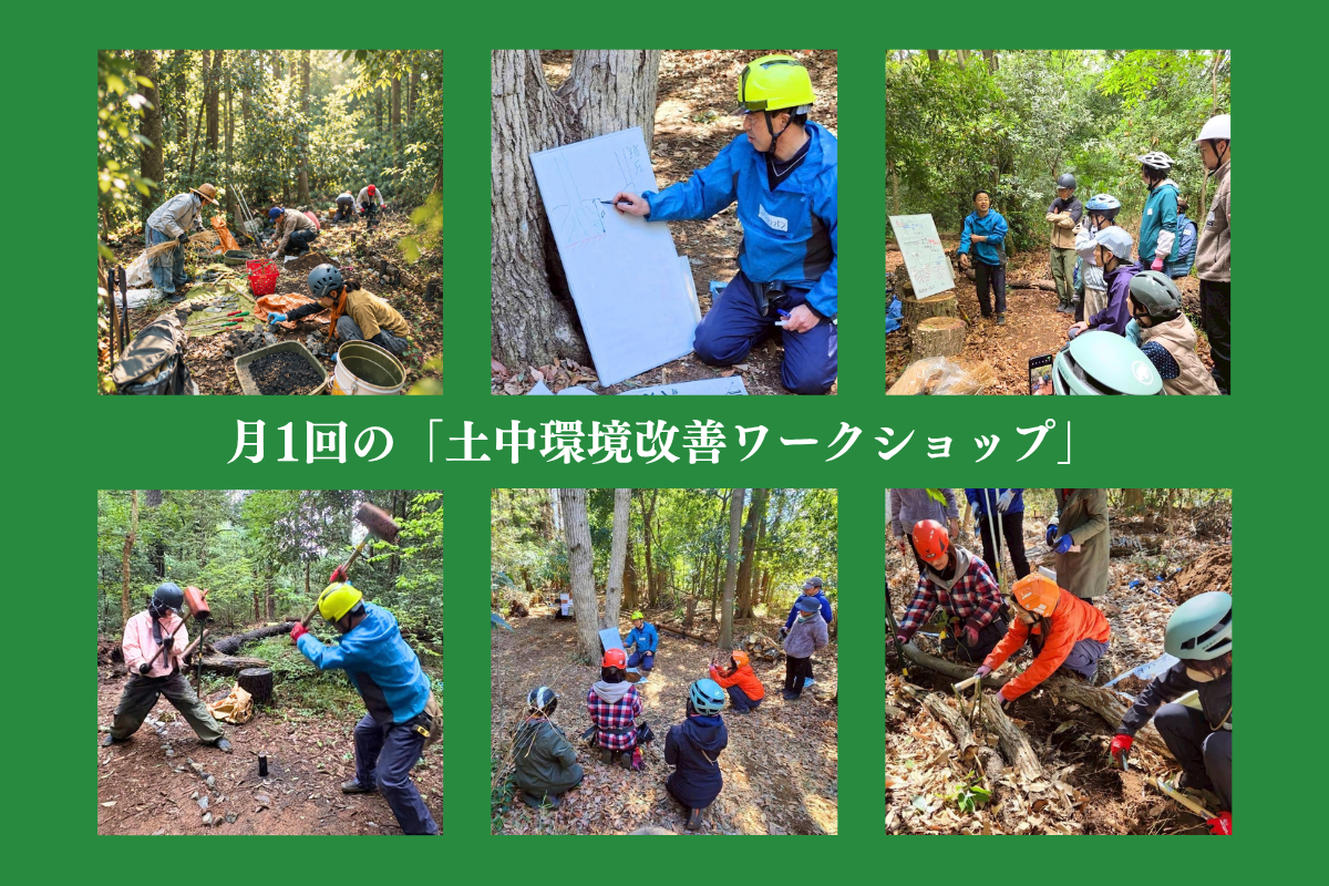 土中環境改善ワークショップの様子
