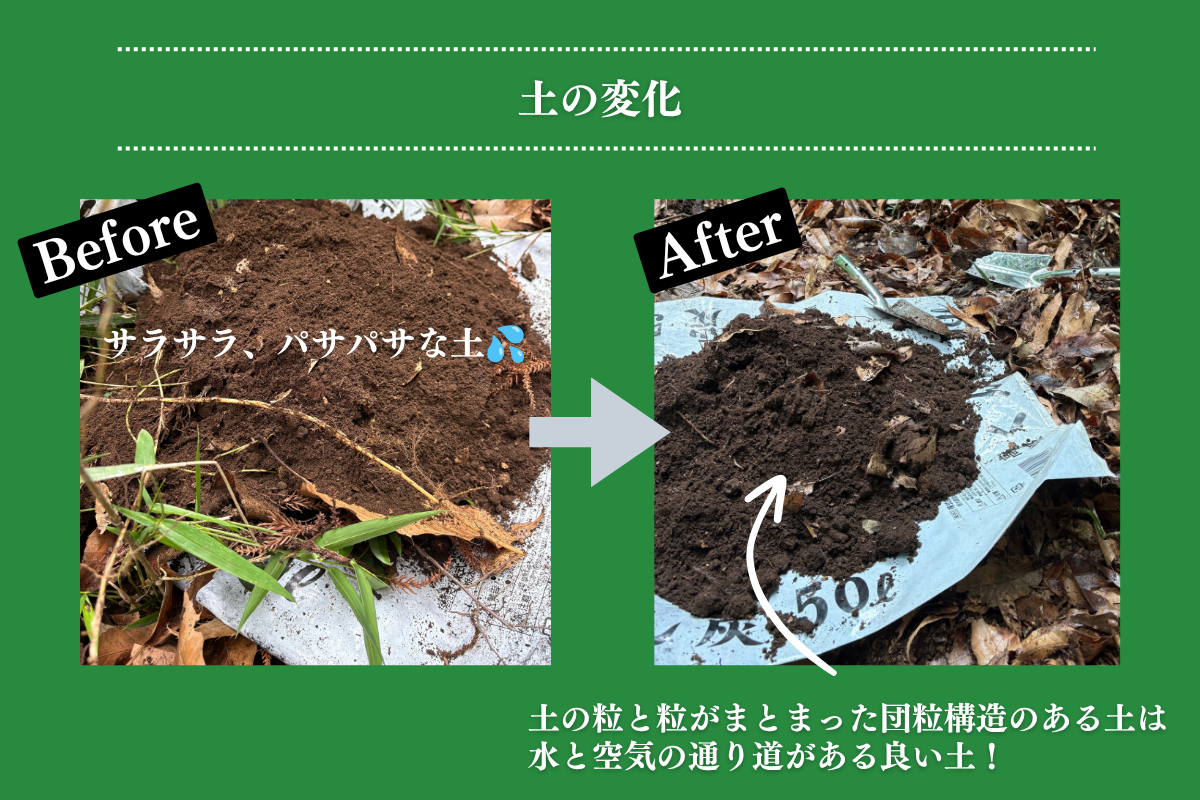 土の変化、ビフォーアフター