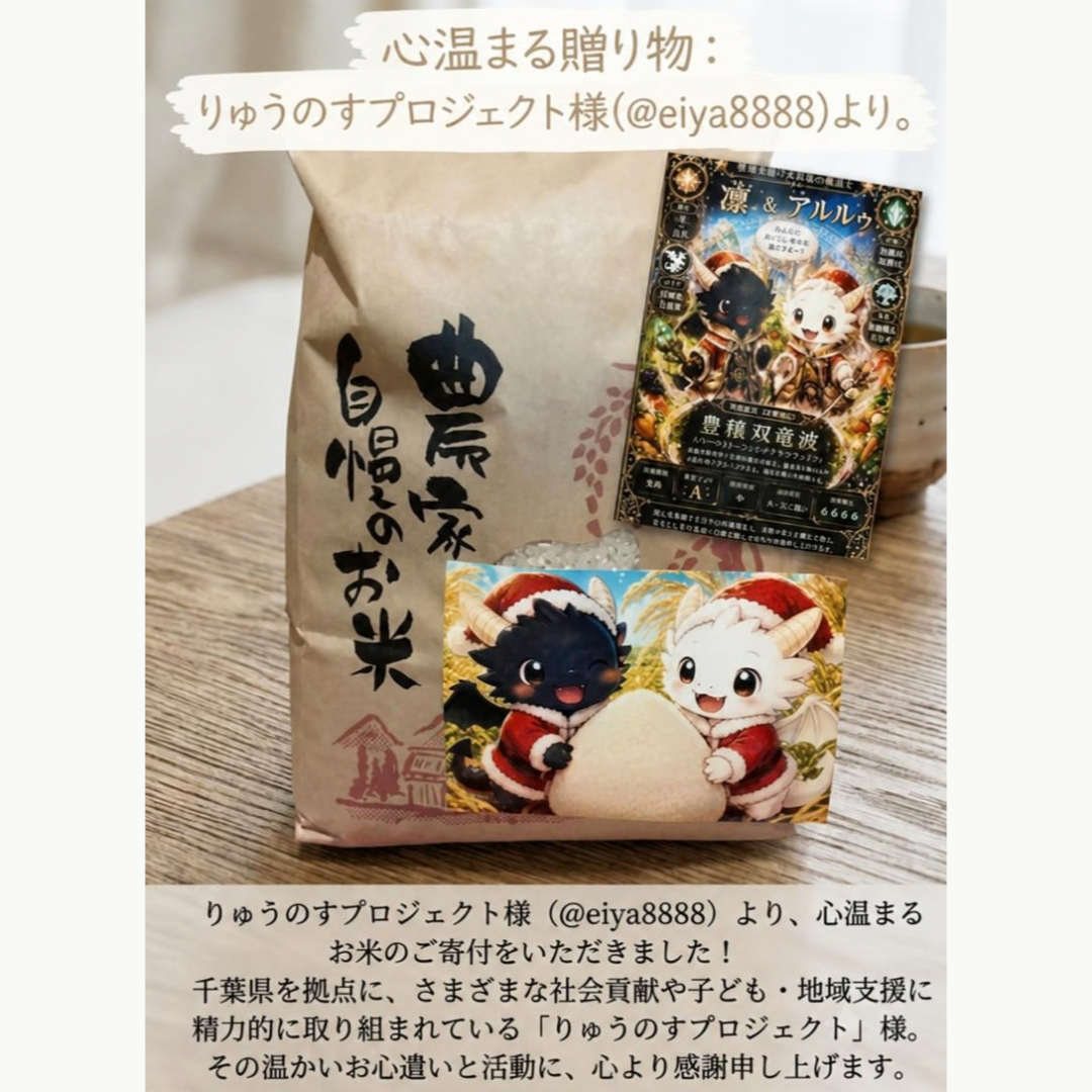 りゅうのすプロジェクトご寄付