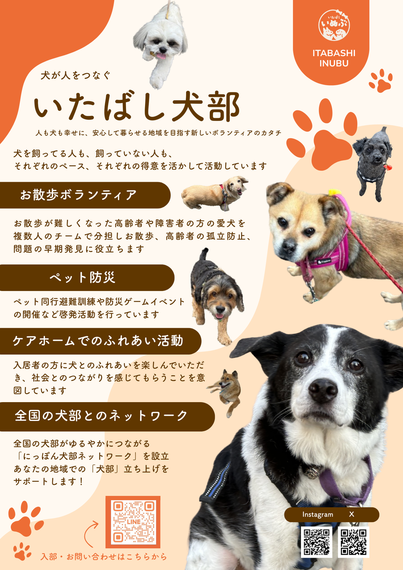 いたばし犬部チラシ