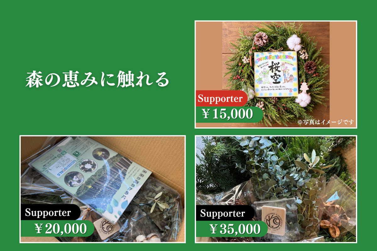 森の恵みに触れる②