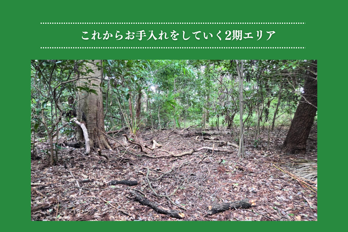 2期エリアの様子