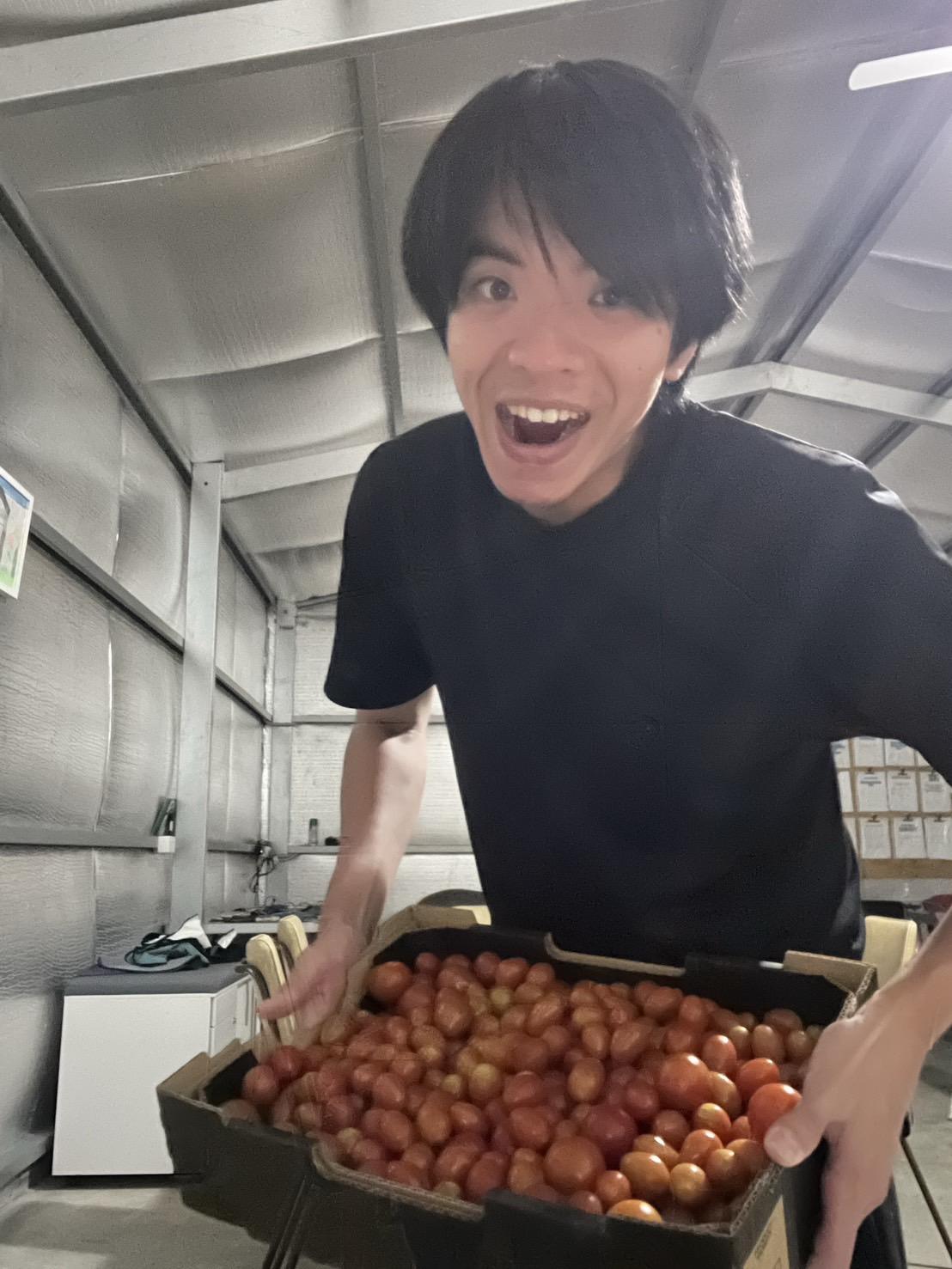 ダットさん