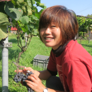 坂本純科