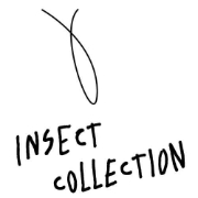 INSECT COLLECTION