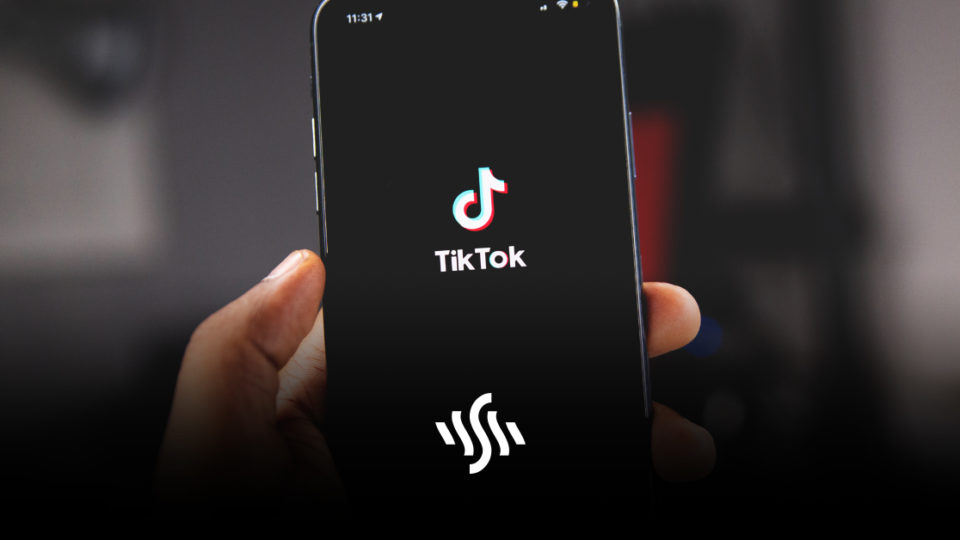 TikTok Marketing: Our Experience and Recommendations - Adshot