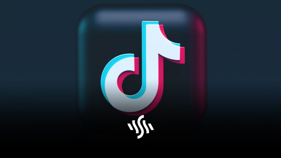 TikTok Automated Video Removals to Begin in US & Canada - Synchedin Blog